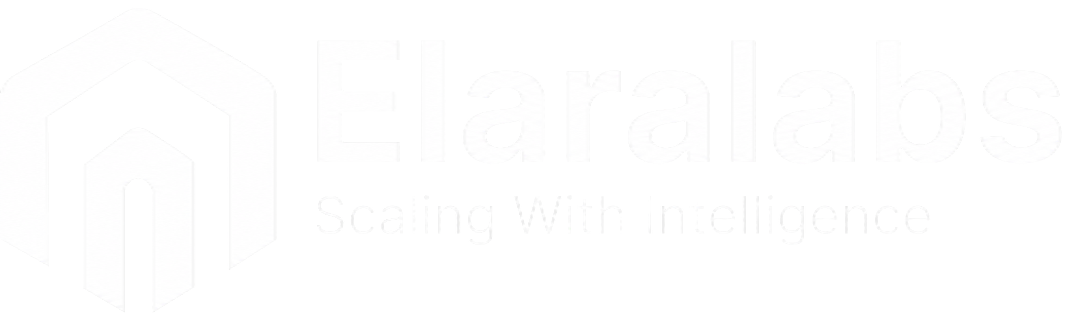 Elara Labs